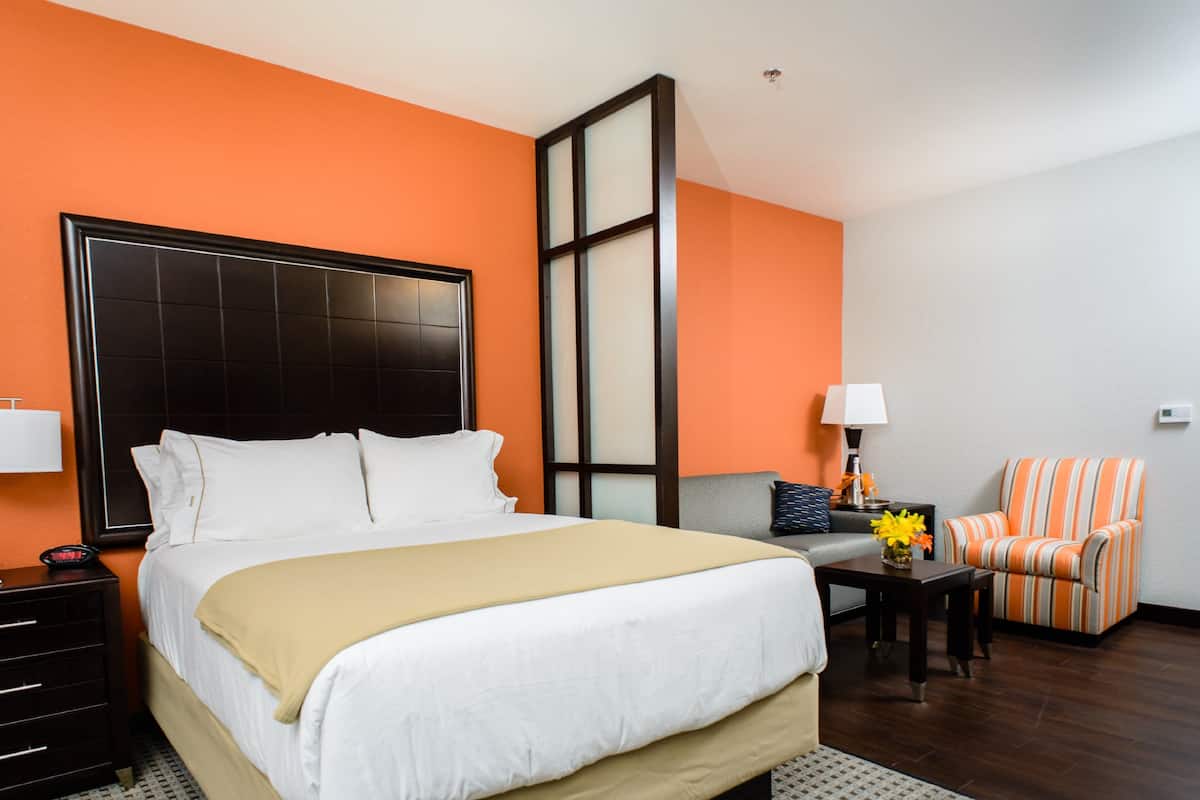 Una habitación de hotel con una cama grande, un escritorio, una silla y una mesita de noche.