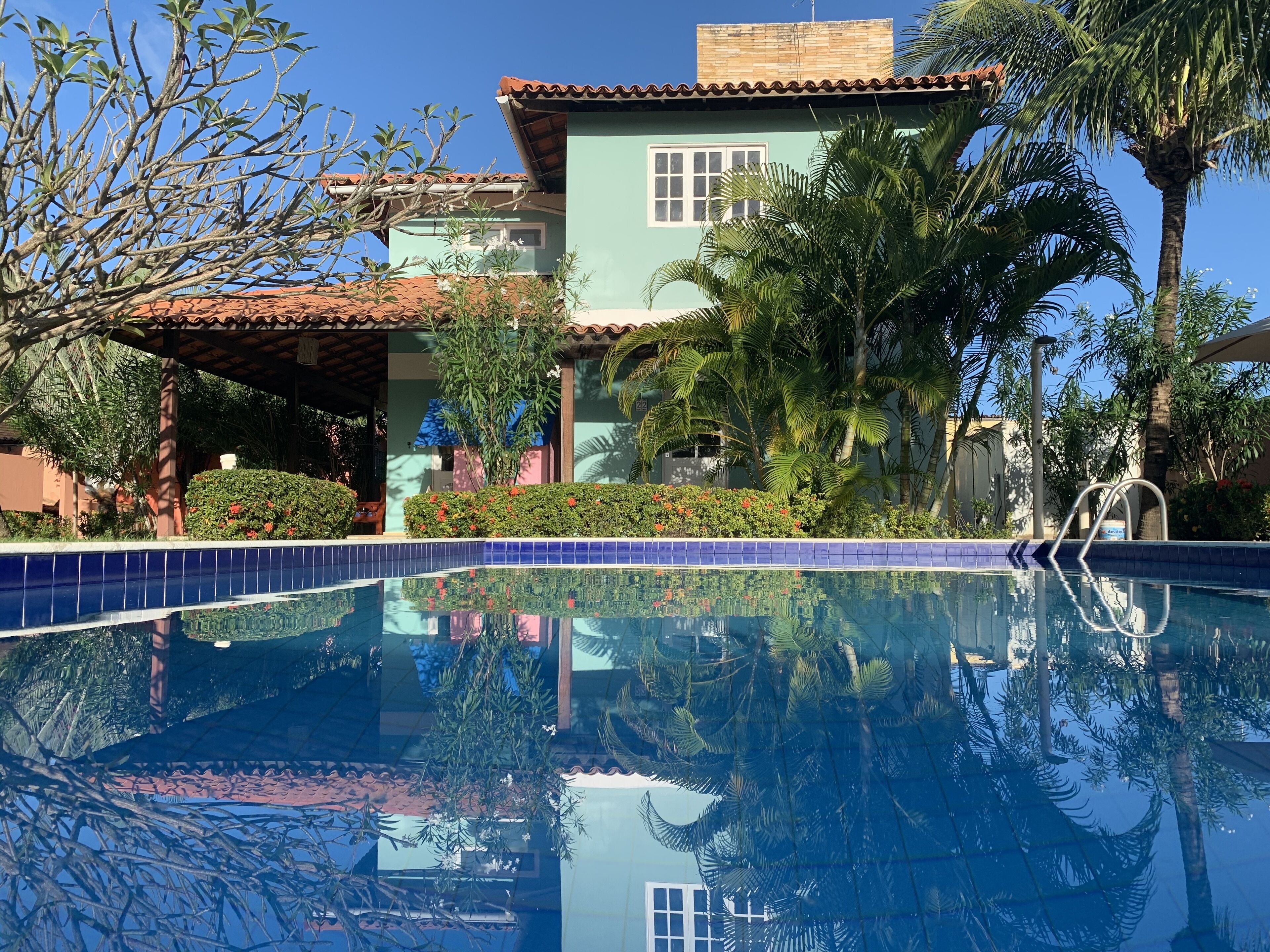 Una piscina azul cristalina con borde de azulejos, rodeada de abundante vegetación y palmeras.