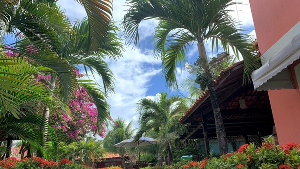 A pathway flanked by lush greenery and flowering plants, leading to a building with a tiled roof and a covered area.
