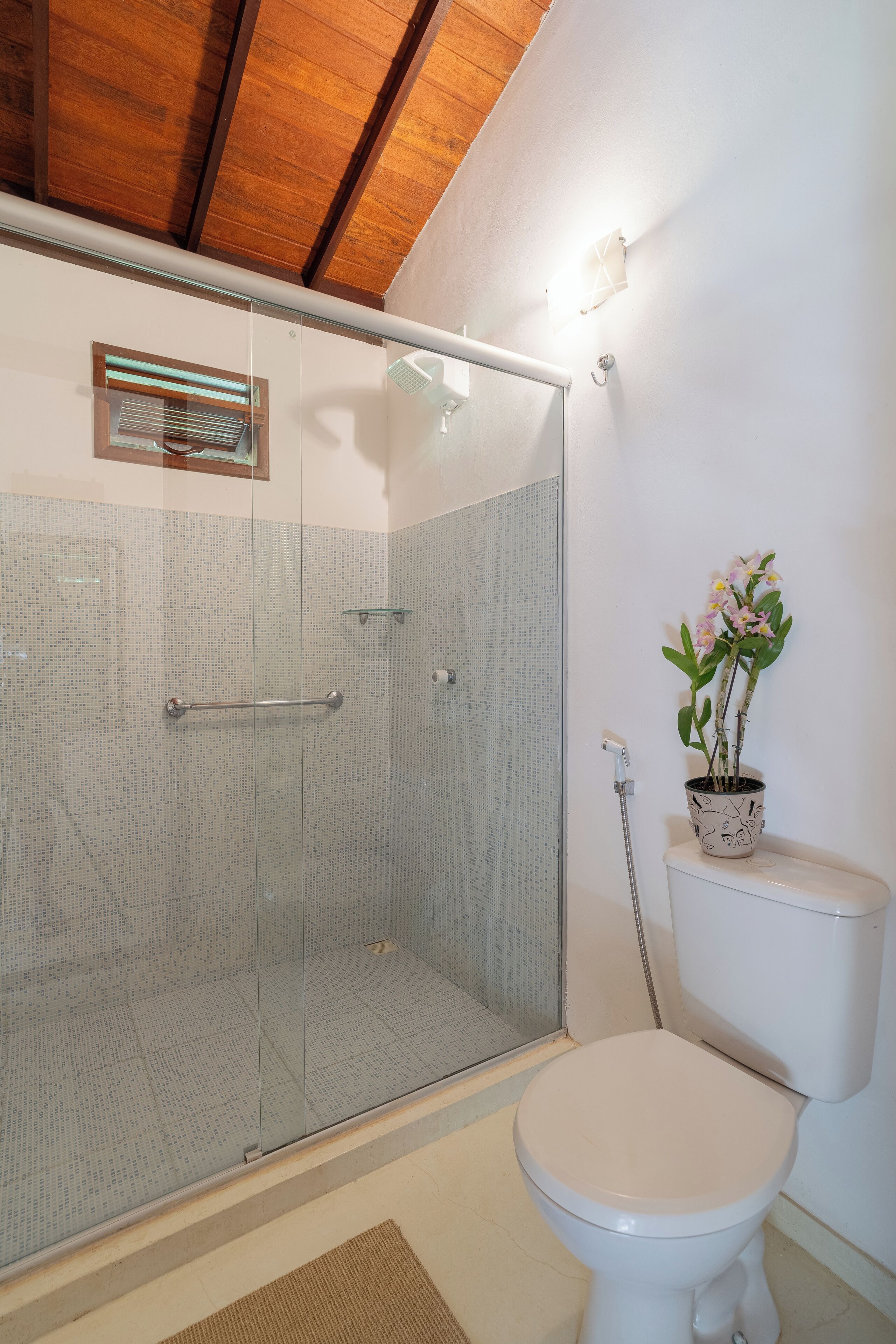 A bathroom with a glass shower enclosure, a toilet, and a potted orchid plant.