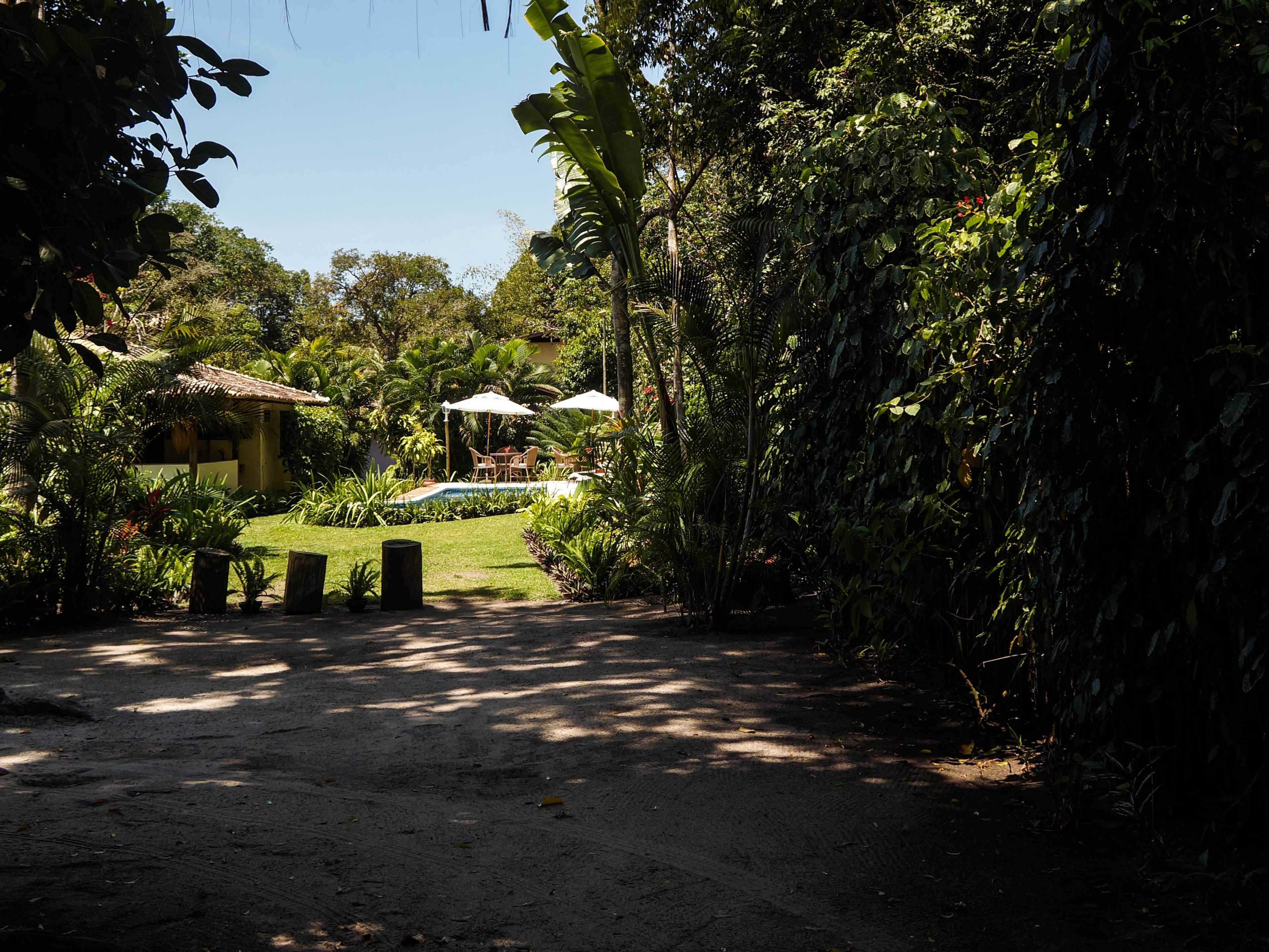 A tropical garden with a pool, a thatched-roof structure, and a dining area with umbrellas.
