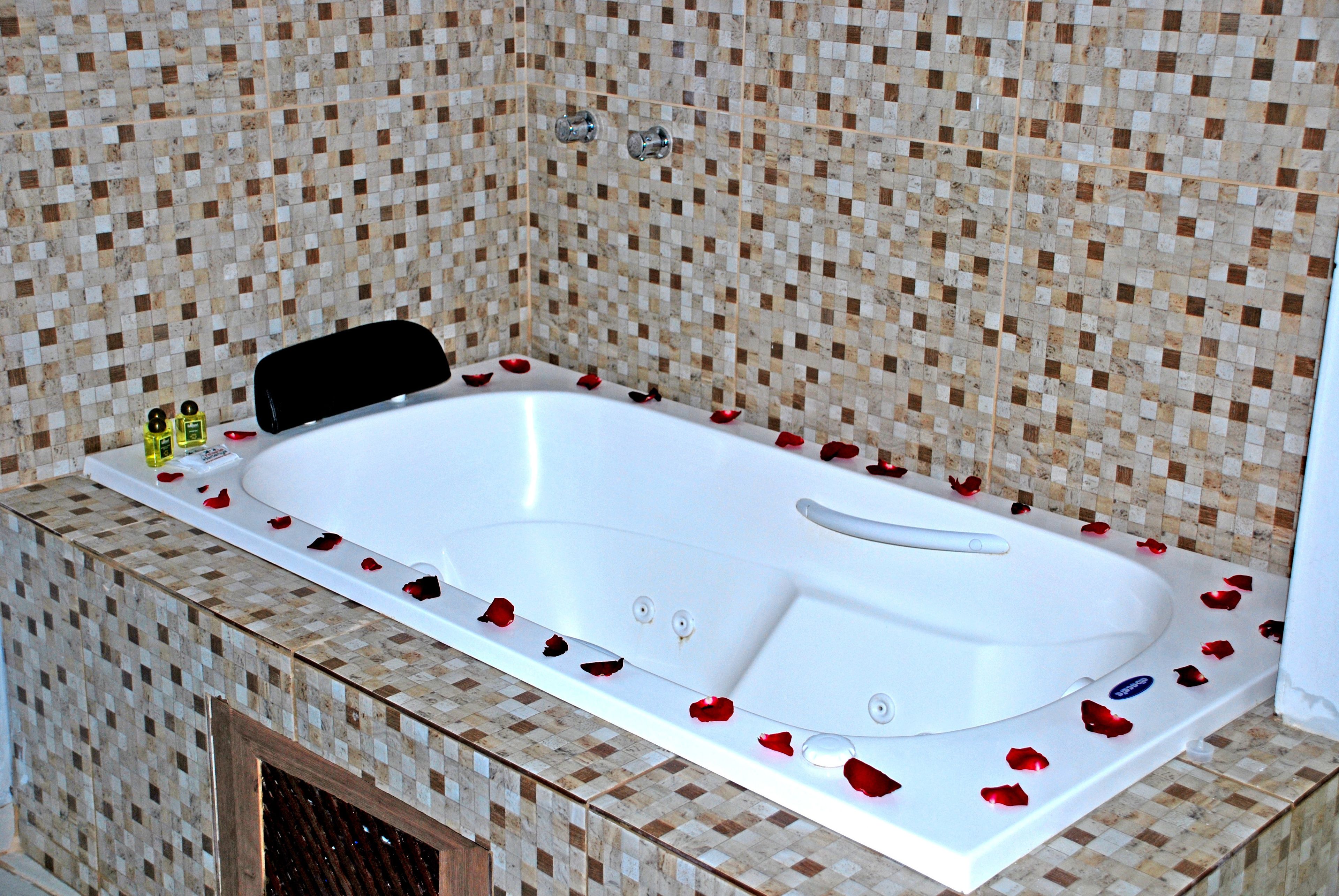 Foto - Pousada Tartaruga