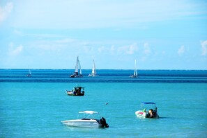Beach nearby - Pousada Tartaruga (Maragogi)