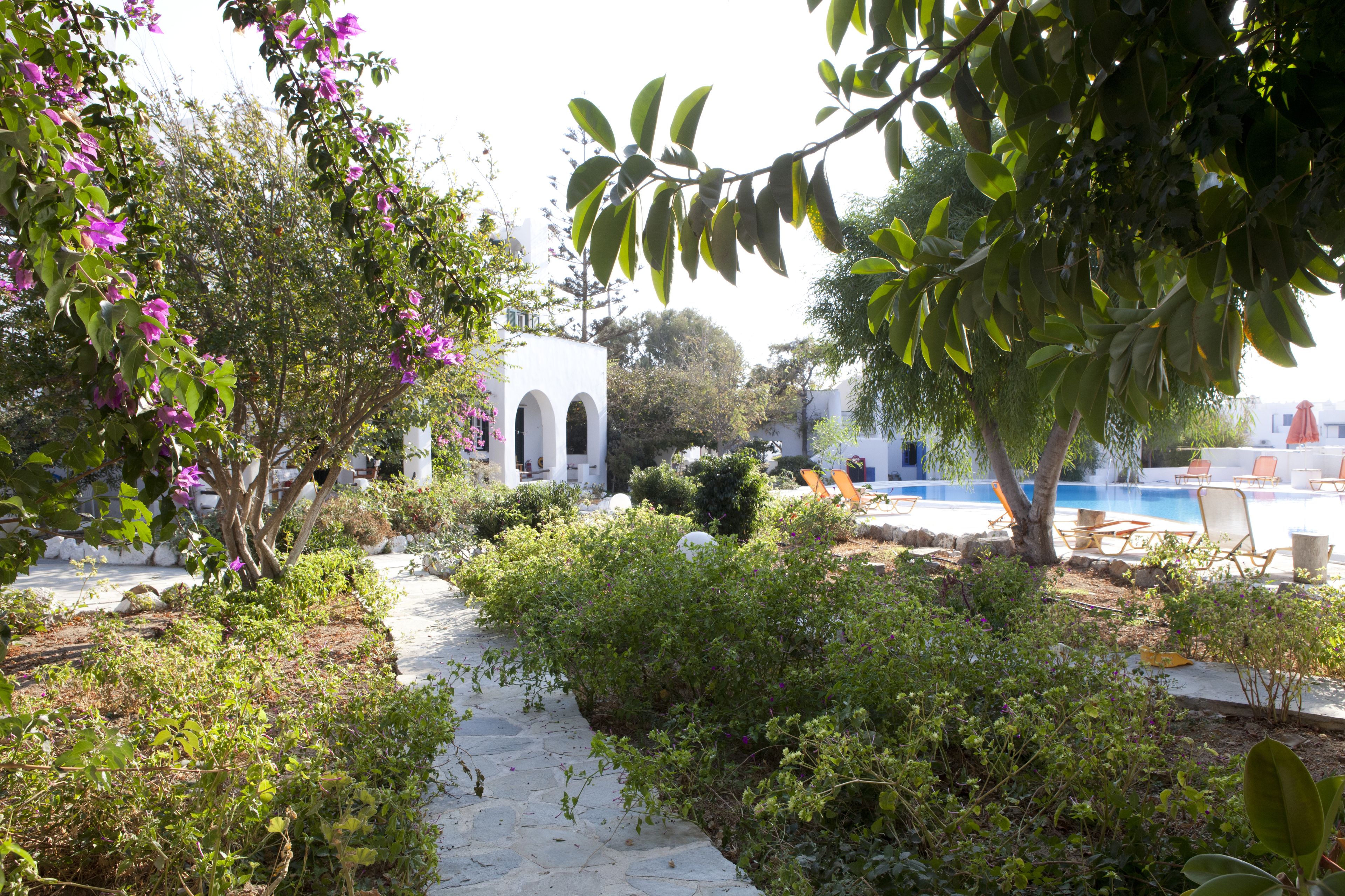 A stone pathway leading to a pool area with lounge chairs and a white building with arches.
