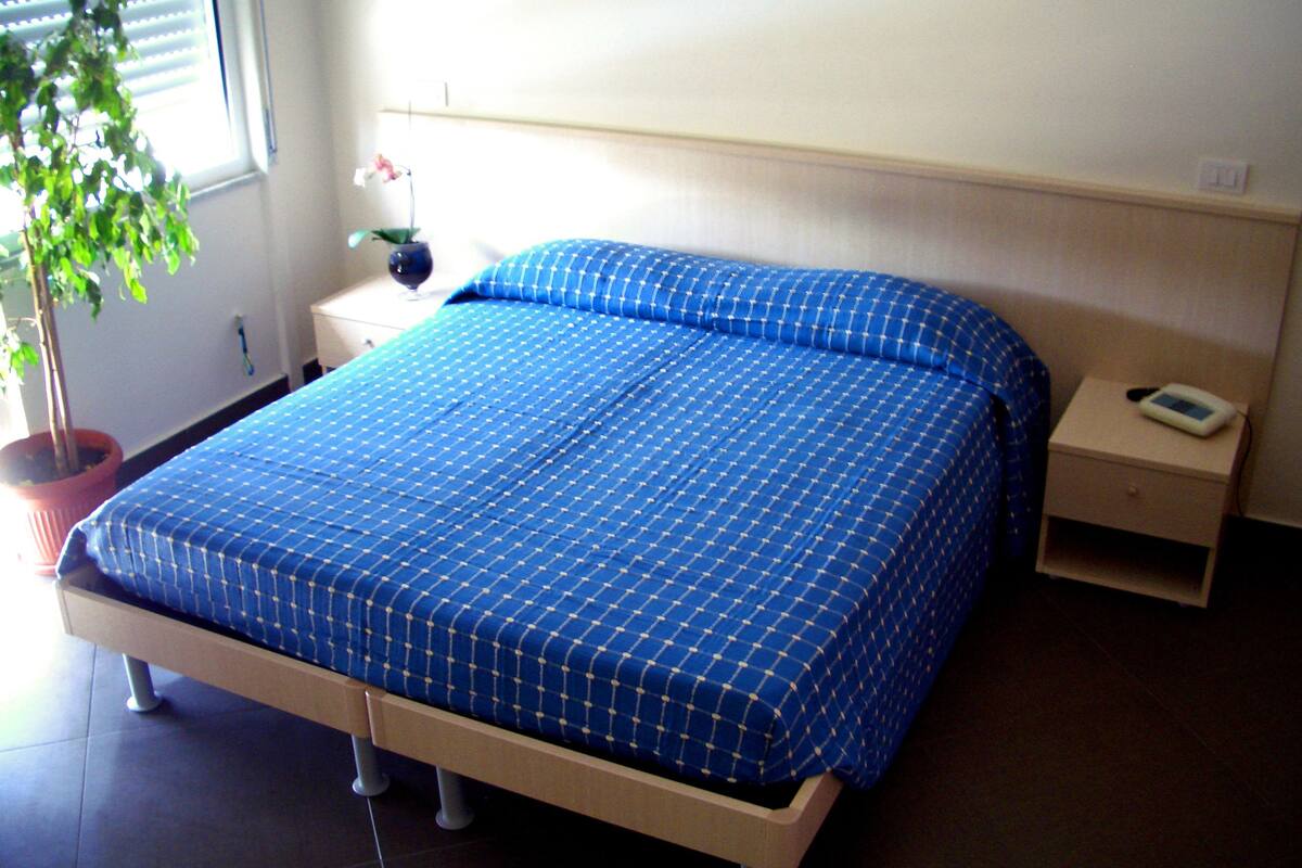 A bed with a blue checkered bedspread, a bedside table with a lamp, and a potted plant.