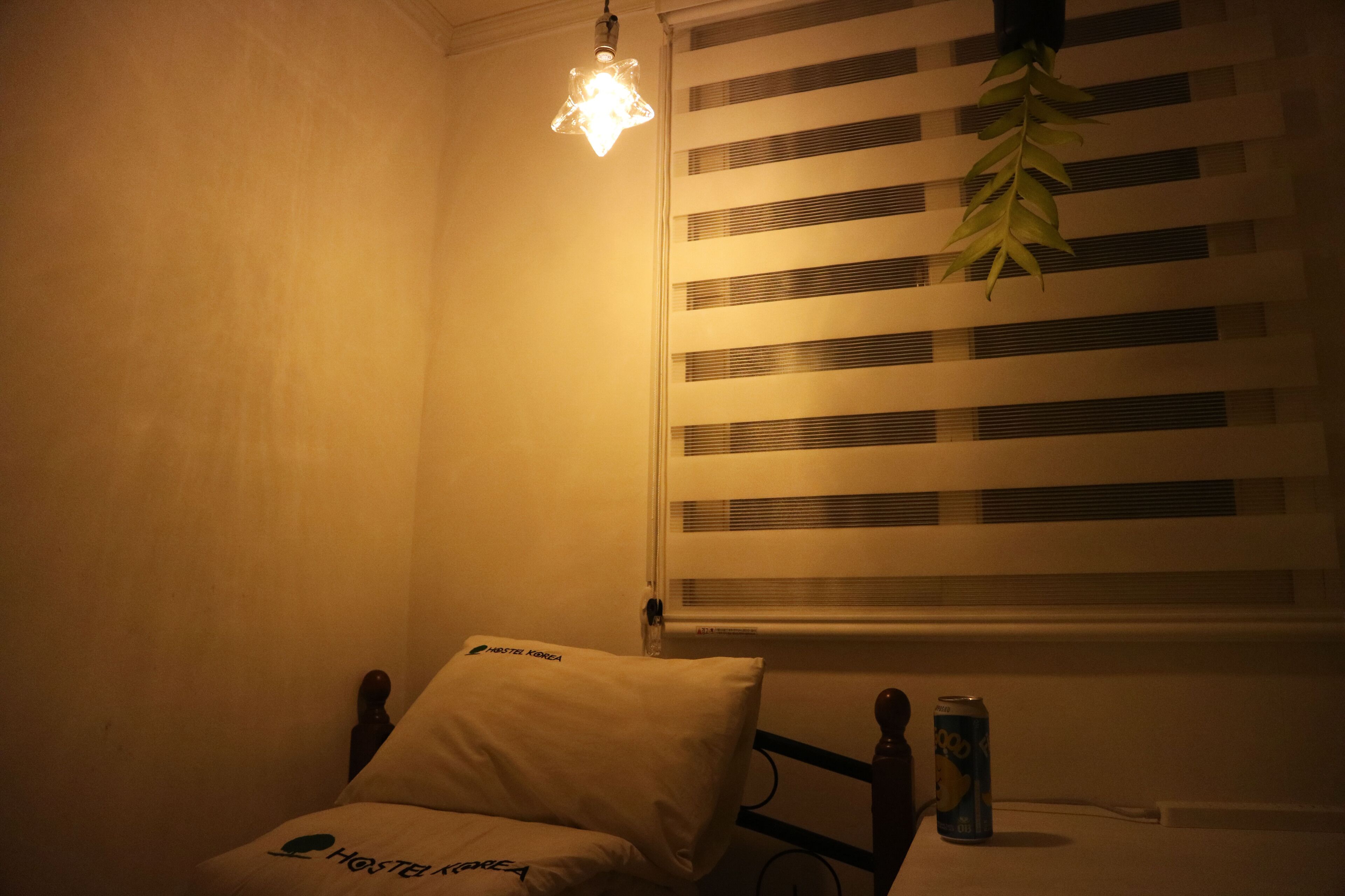 Ein schwach beleuchteter Raum mit einem Bett, einer hängenden Pflanze und einem Fenster mit Jalousien.