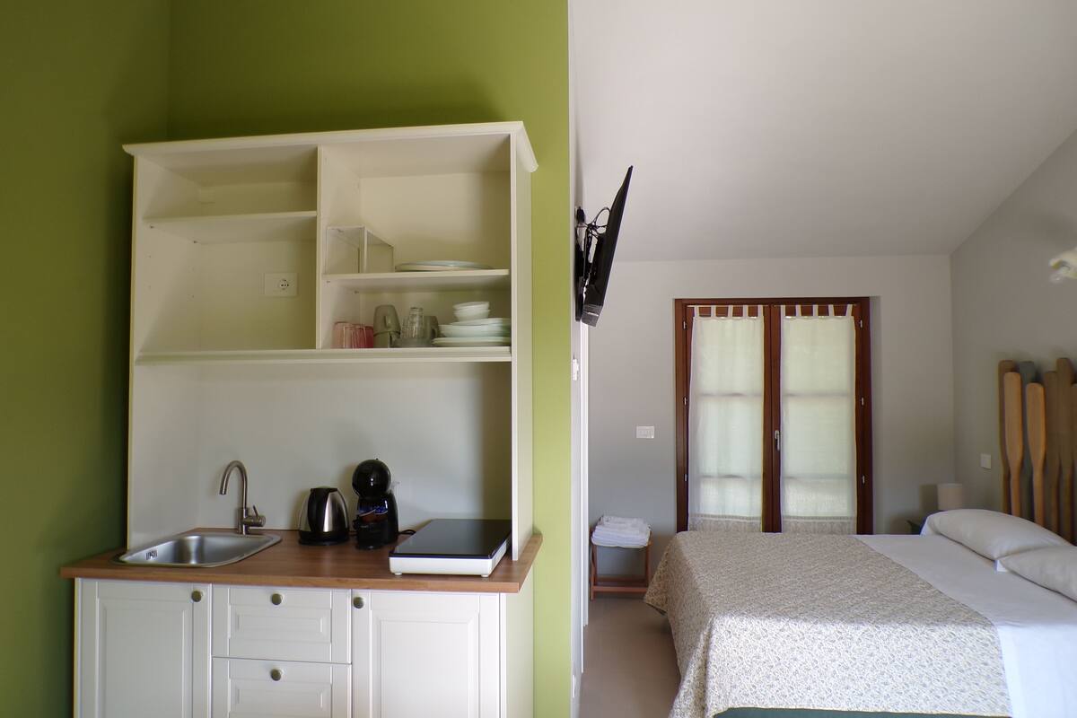 Une chambre dotée d’une kitchenette, d’un lit, d’une salle de bain avec rideau de douche et d’un ensemble de pagaies en bois.