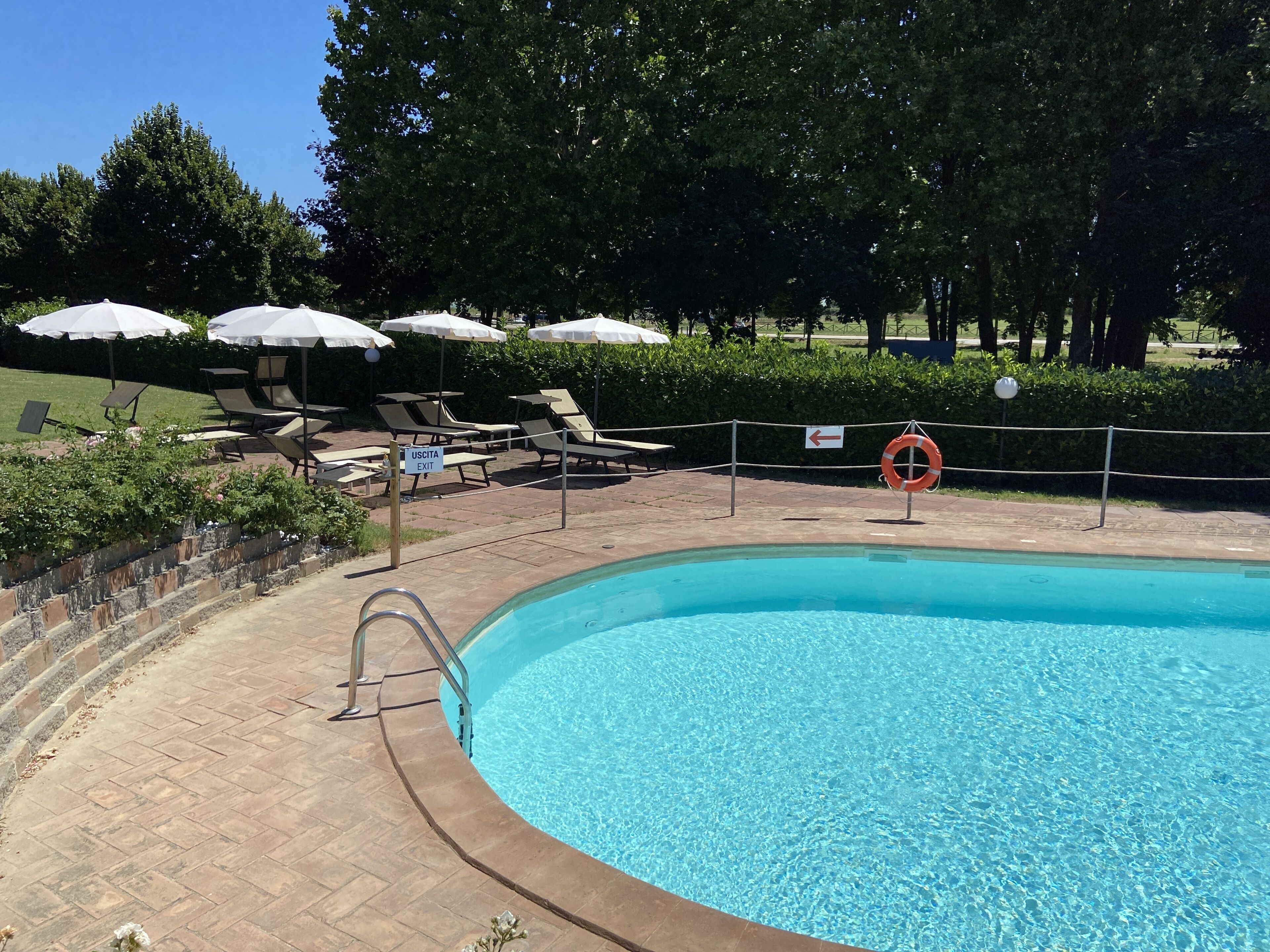Piscina com espreguiçadeiras e guarda-sóis, rodeada por um pavimento de tijolos e vegetação.