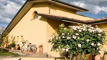 A yellow building with a sloped roof, a bicycle parked outside, and a large bush of pink roses.