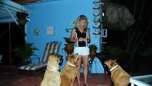 A woman standing in a room with a blue wall, surrounded by four dogs. - Conch On Inn Motel (Tavernier)