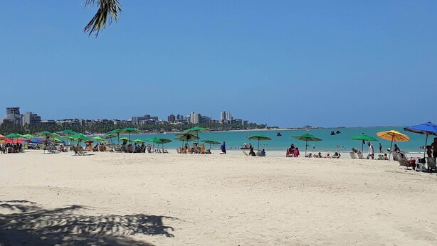 A beach with rows of sun umbrellas and beach chairs, a clear blue sky, and a city skyline in the background. - Poutur Pousada (Maceió)