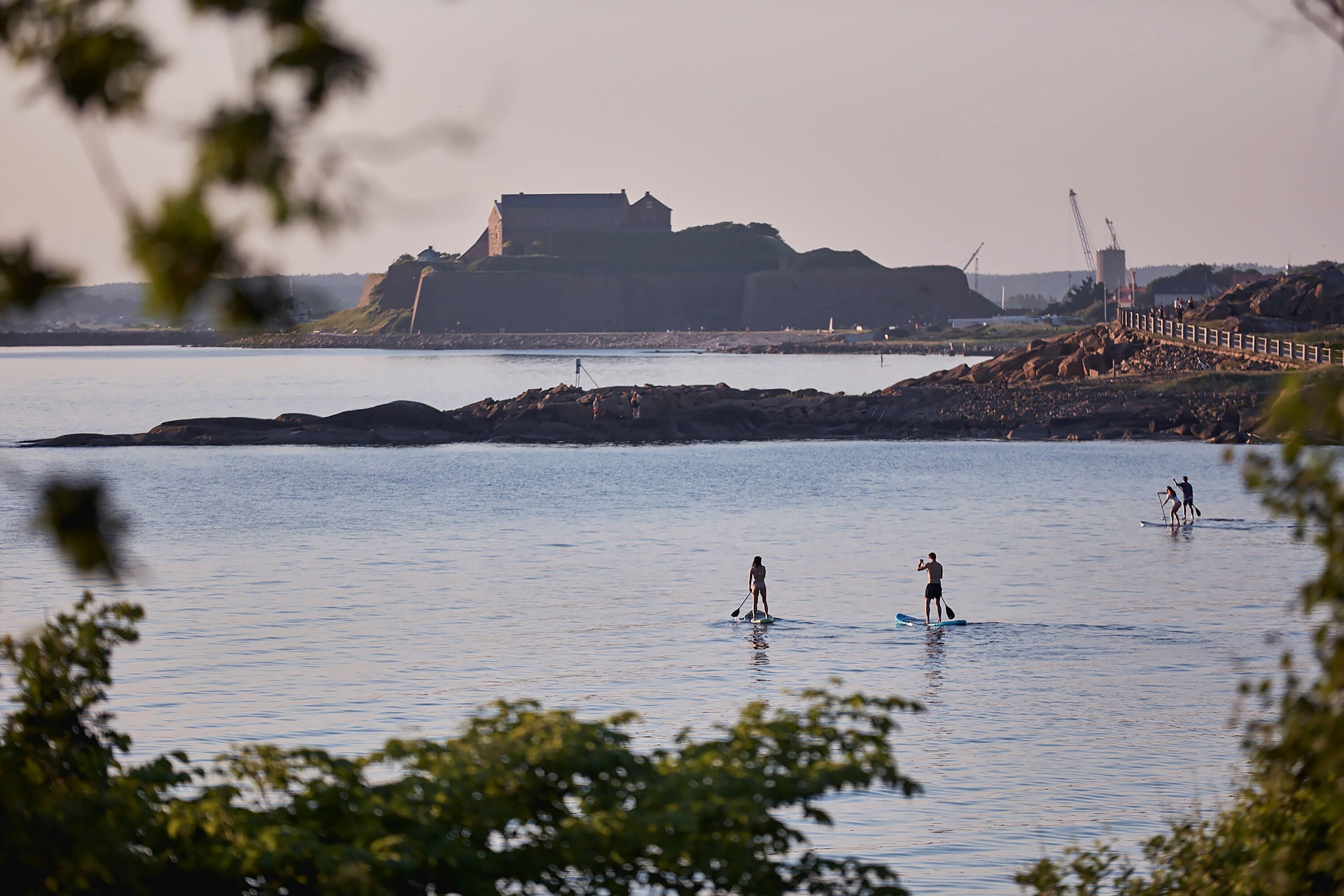 surfing/boogie boarding
