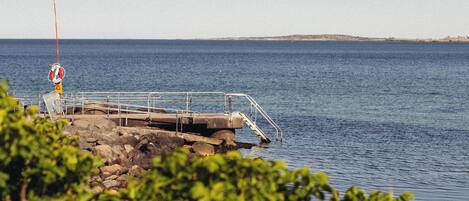 Escena costera con un muelle que se adentra en aguas tranquilas, rodeado de vegetación.