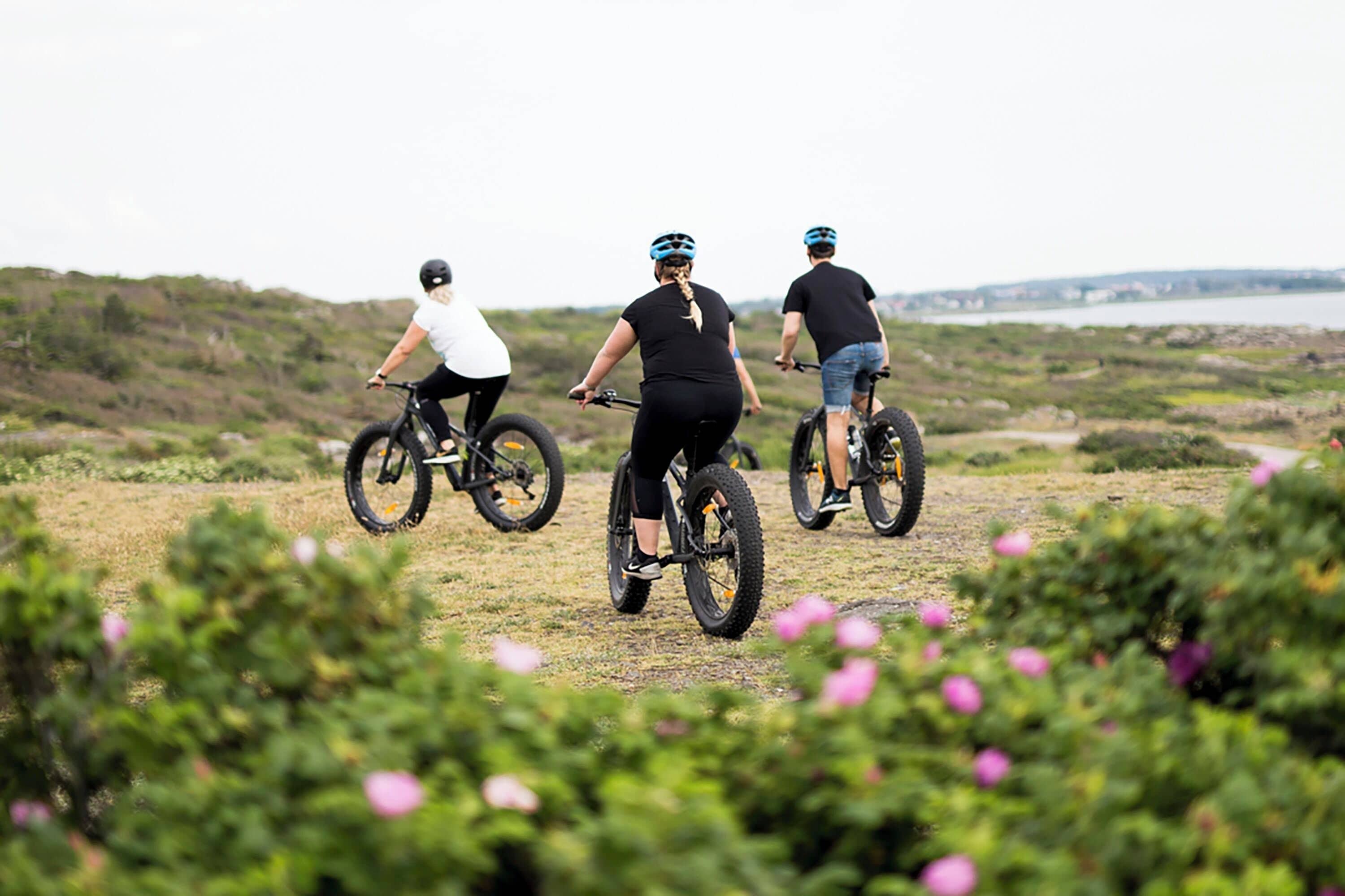 Trois cyclistes sur une piste, avec une vue panoramique sur des collines et un plan d’eau au loin.