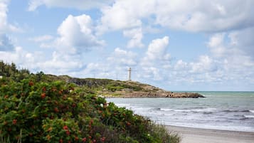 Eine Küstenlandschaft mit einem Leuchtturm auf einem Felsen, umgeben von Grün und dem Meer.