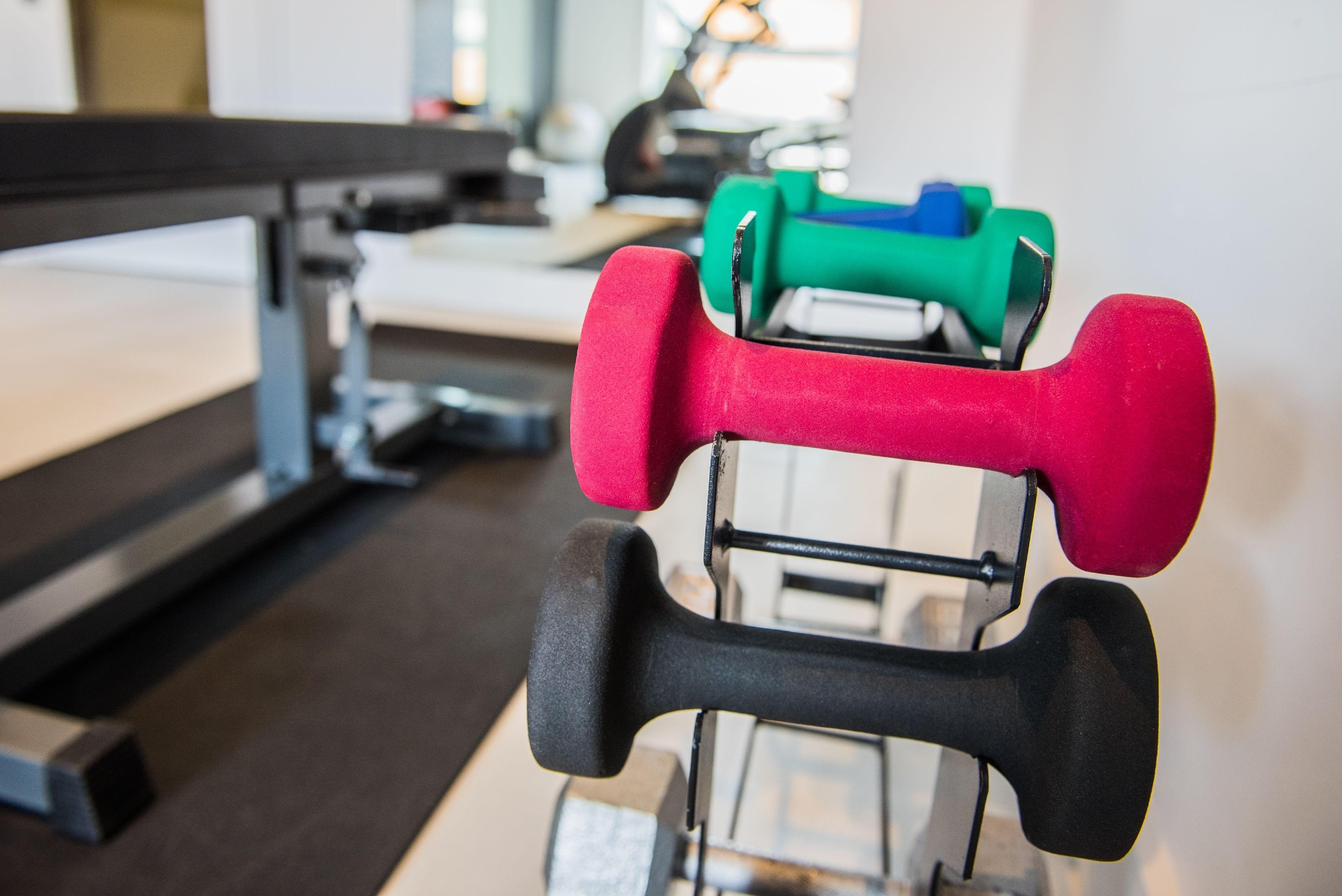 Uma academia com equipamentos de exercícios, incluindo halteres e um banco.