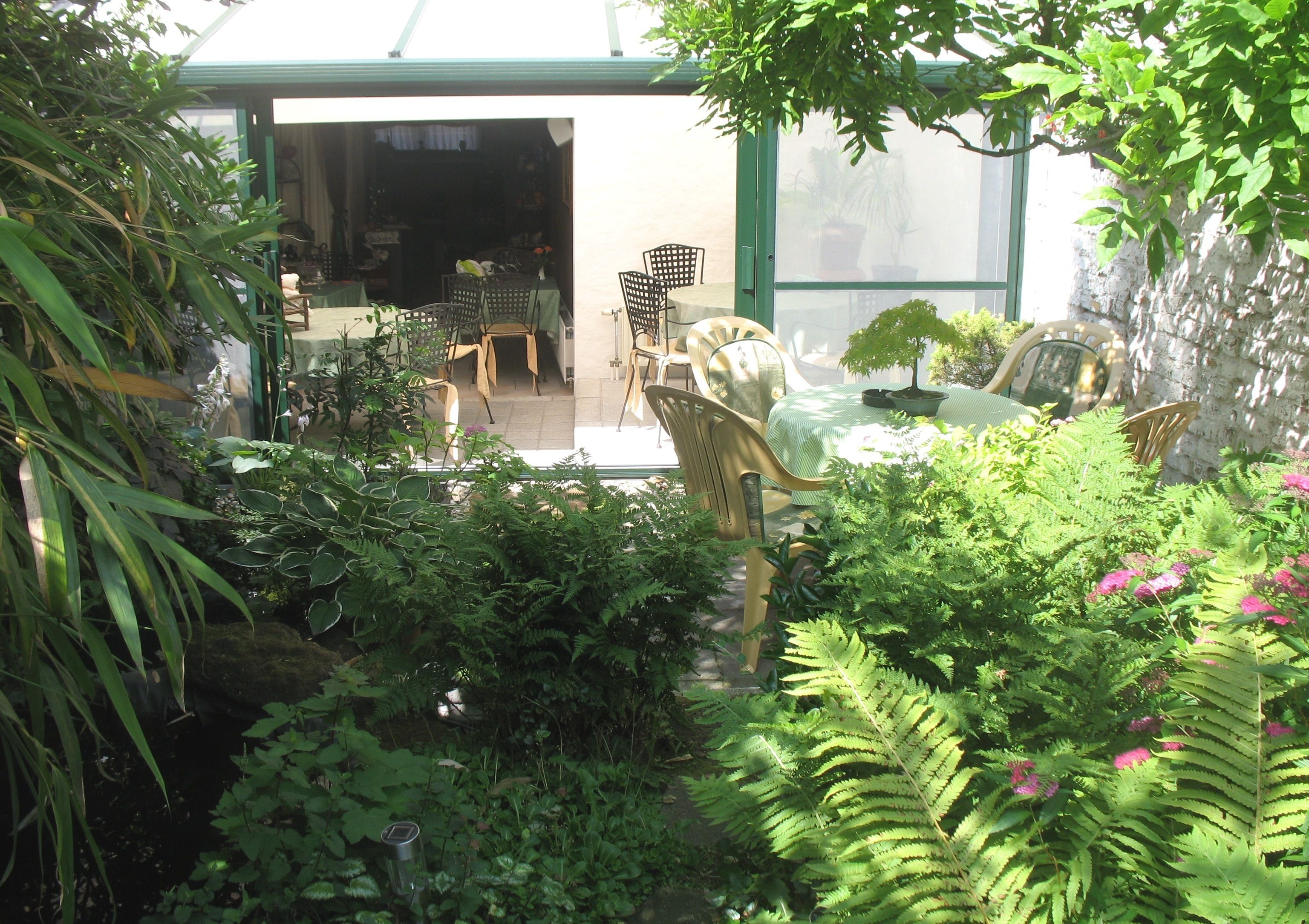 Photo - B&B Het Wit Beertje