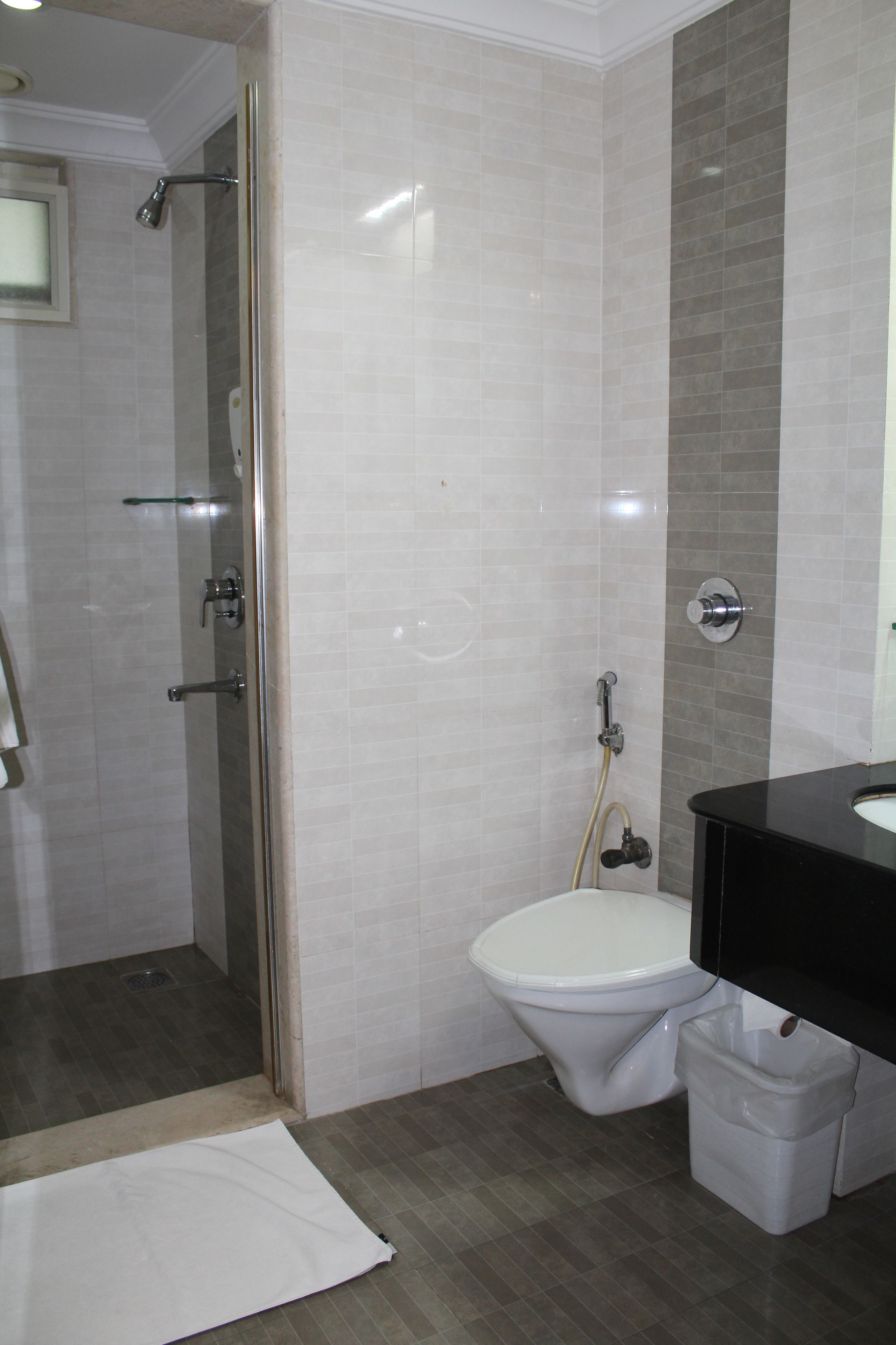Une salle de bain avec douche, toilettes et lavabo.
