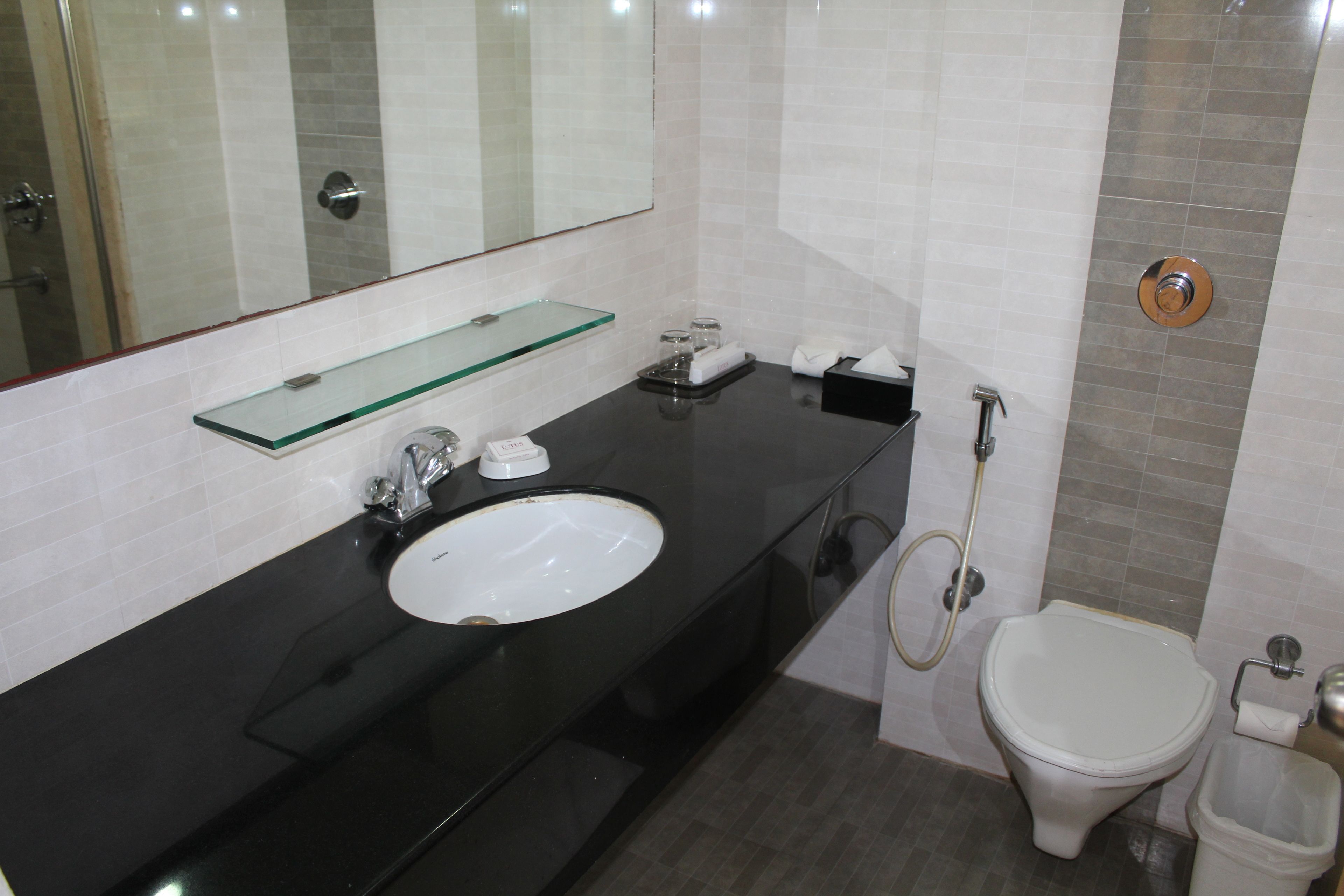 Junior Suite | Bathroom | Shower, free toiletries, hair dryer, slippers