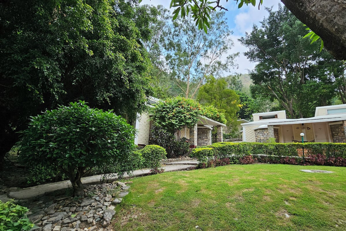 A modern house with a stone facade, surrounded by lush greenery and a well-maintained lawn.