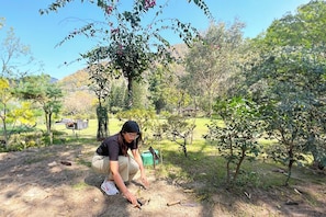 Jardí