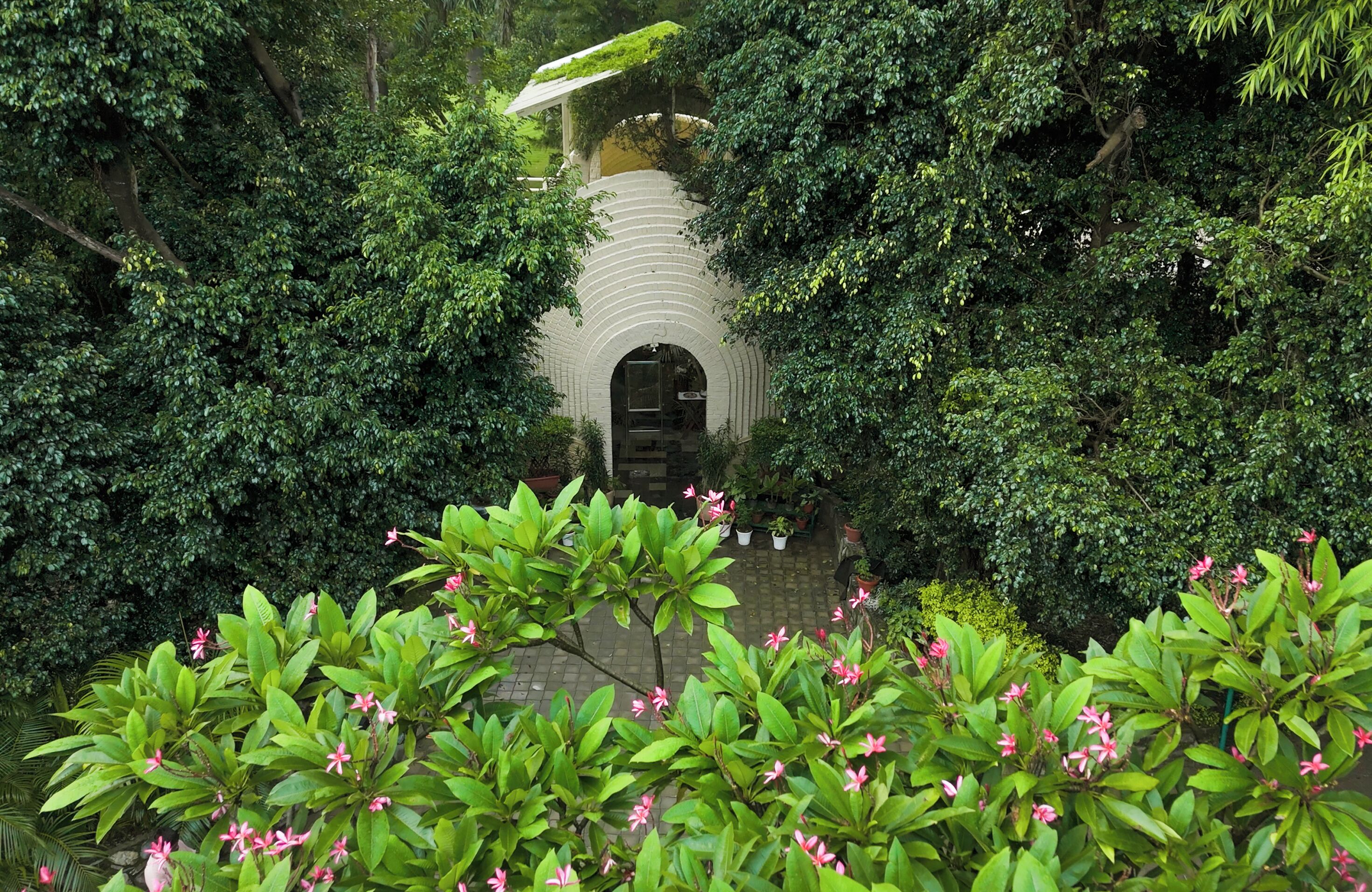 A lush garden with a white archway leading to a building, surrounded by dense foliage and flowering plants.