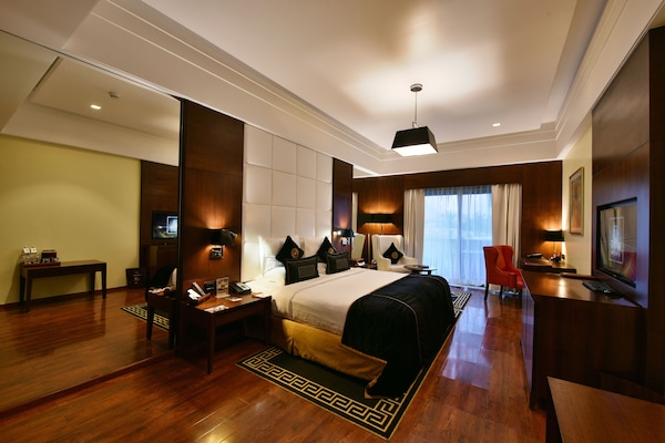 Habitación, 1 cama King size | Minibar, caja de seguridad en la habitación y muebles diferentes