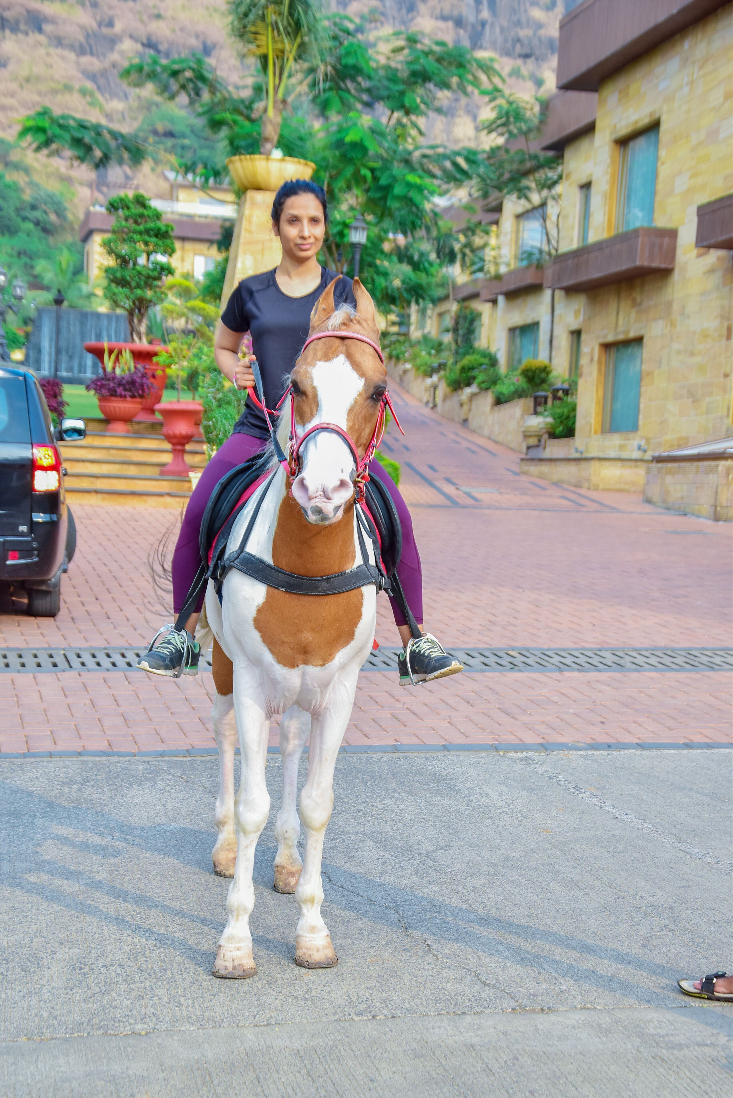 A person riding a horse on a paved road with buildings and greenery in the background.