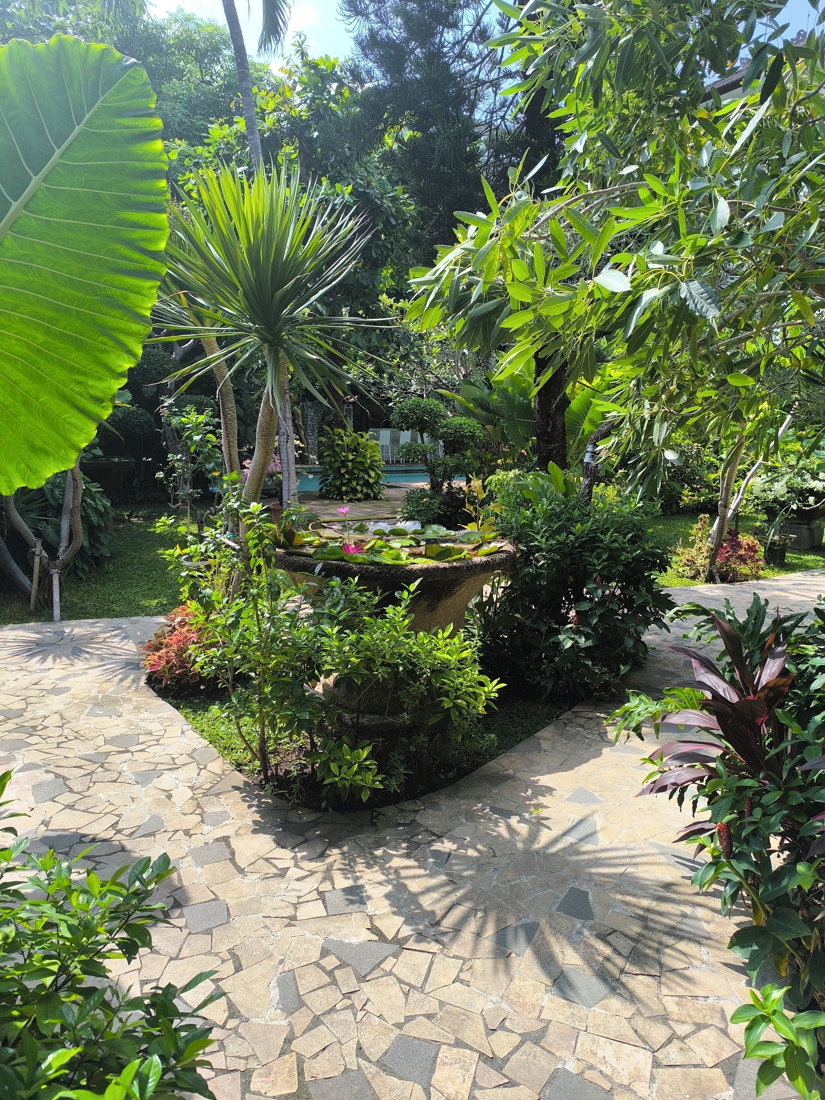A garden with a stone pathway, various plants, and a water feature.