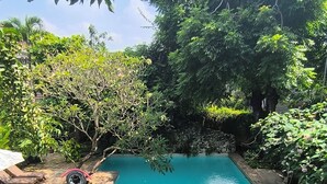 Una piscina rectangular rodeada de exuberante vegetación y un muro de piedra.