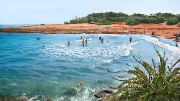 Vlak bij het strand, vissen