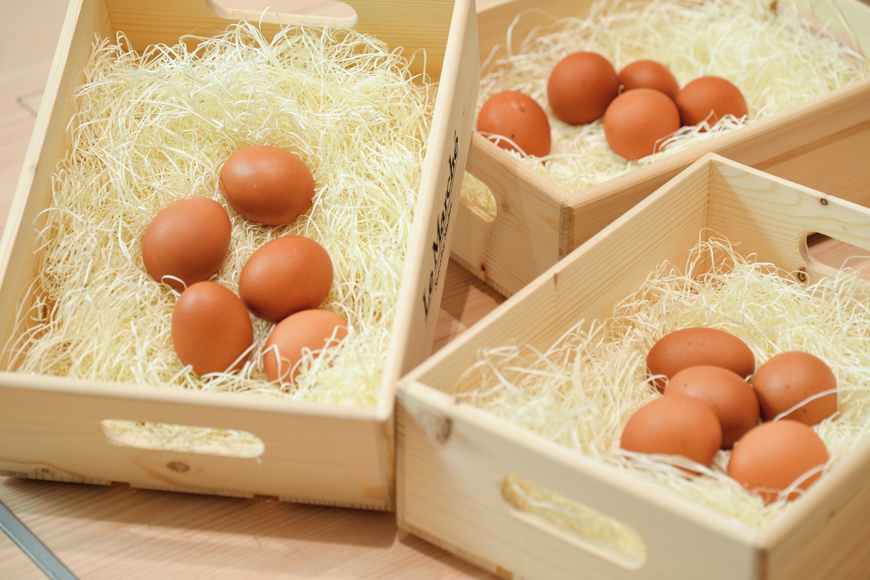 Tres cajas de madera llenas de paja y huevos marrones.