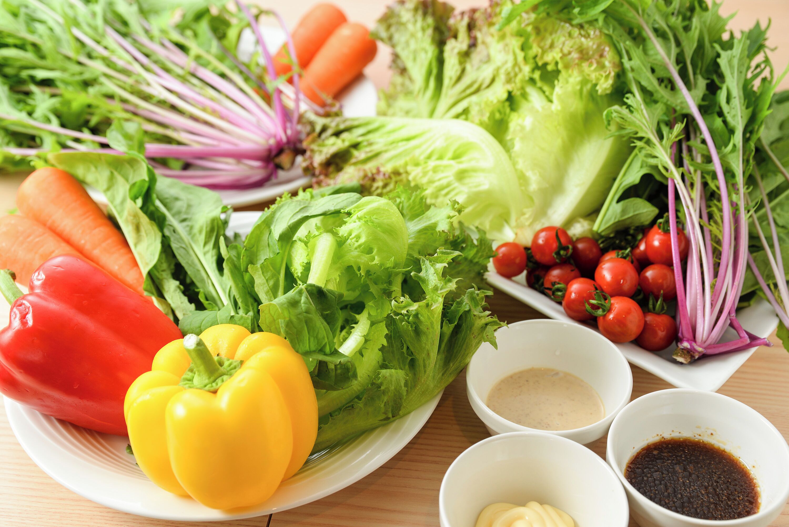 A variety of fresh vegetables including lettuce, tomatoes, and bell peppers on a plate.