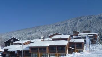 A cluster of wooden cabins with snow-covered roofs, set against a backdrop of a snow-laden mountain.