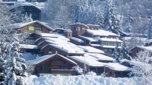 Un complejo invernal cubierto de nieve con varias construcciones tipo chalet, probablemente ofreciendo alojamiento y posiblemente instalaciones para esquiar.