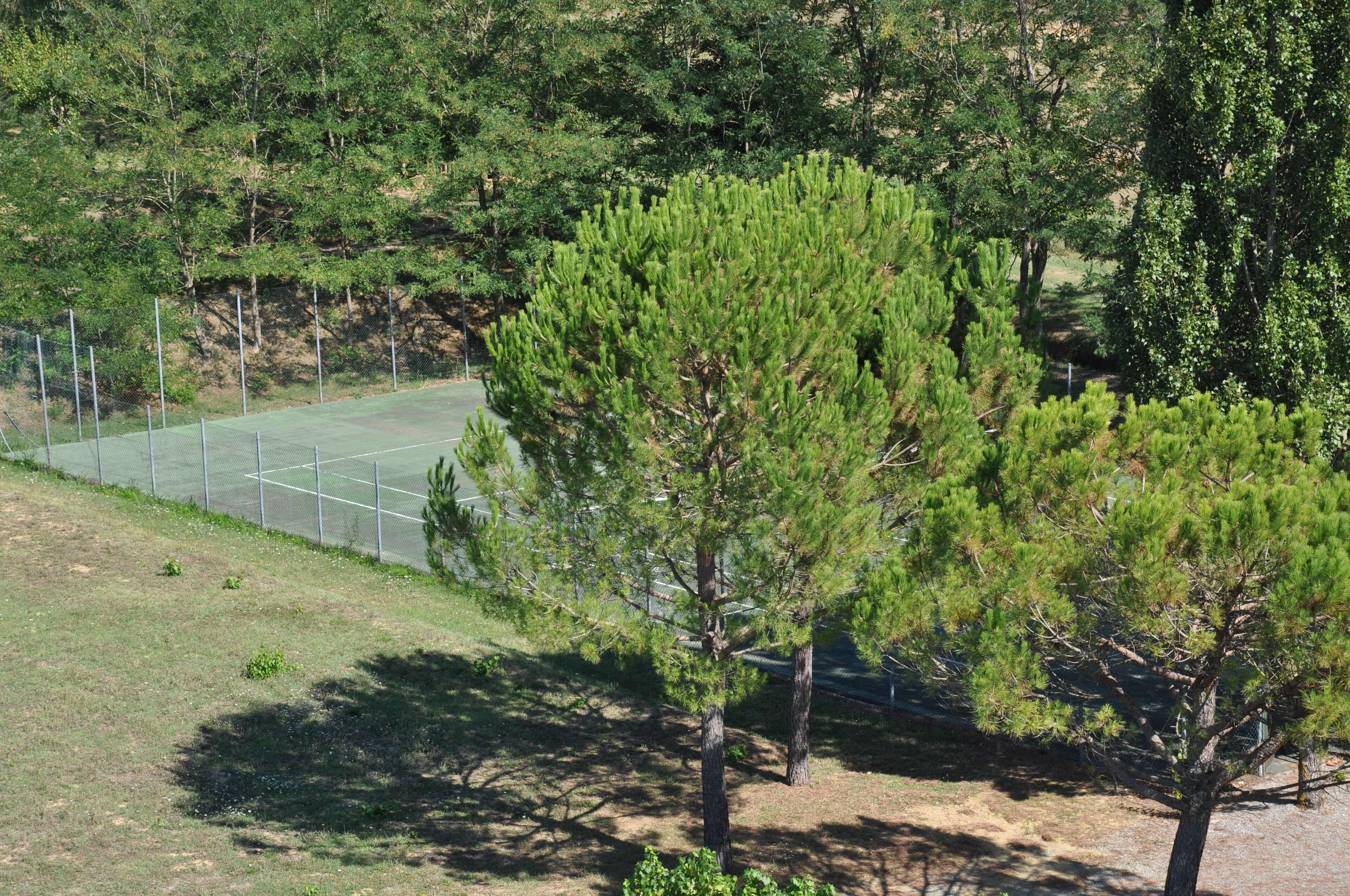 tennis court