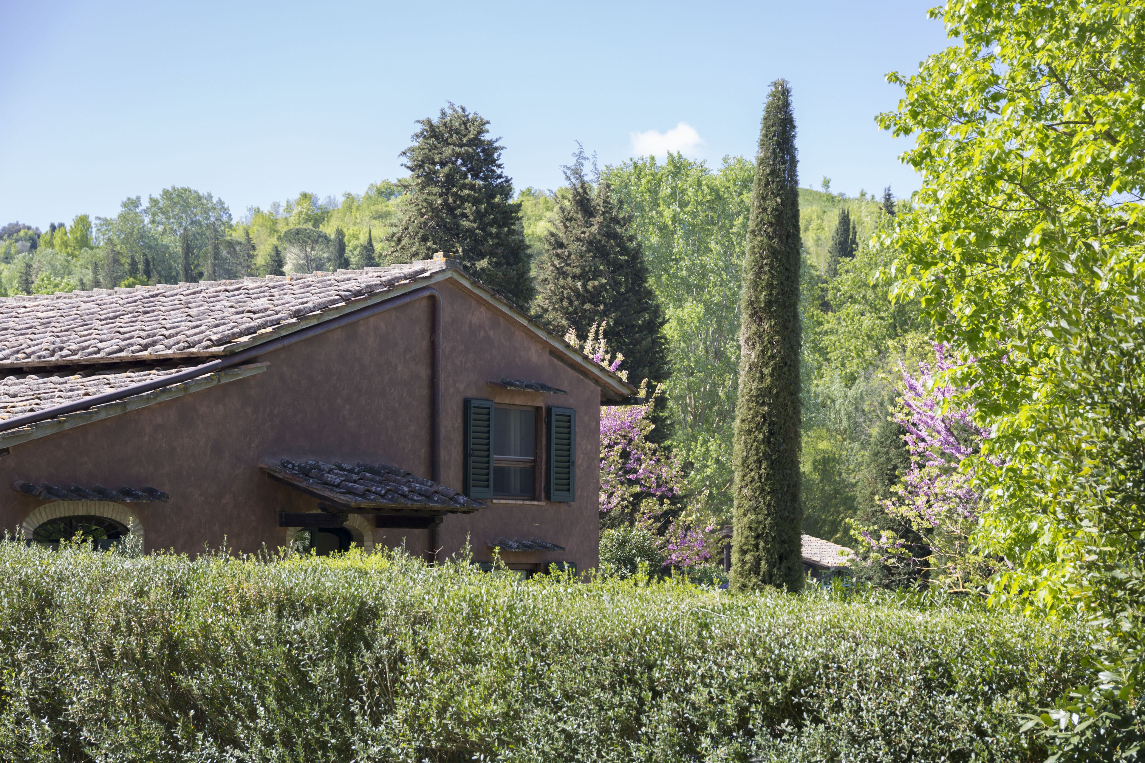 house, 5 bedrooms (la tinaia) | terrace/patio