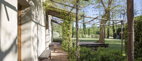 Ett takförsett utomhusområde med en bänk, en pergola och en trädgårdsgång.