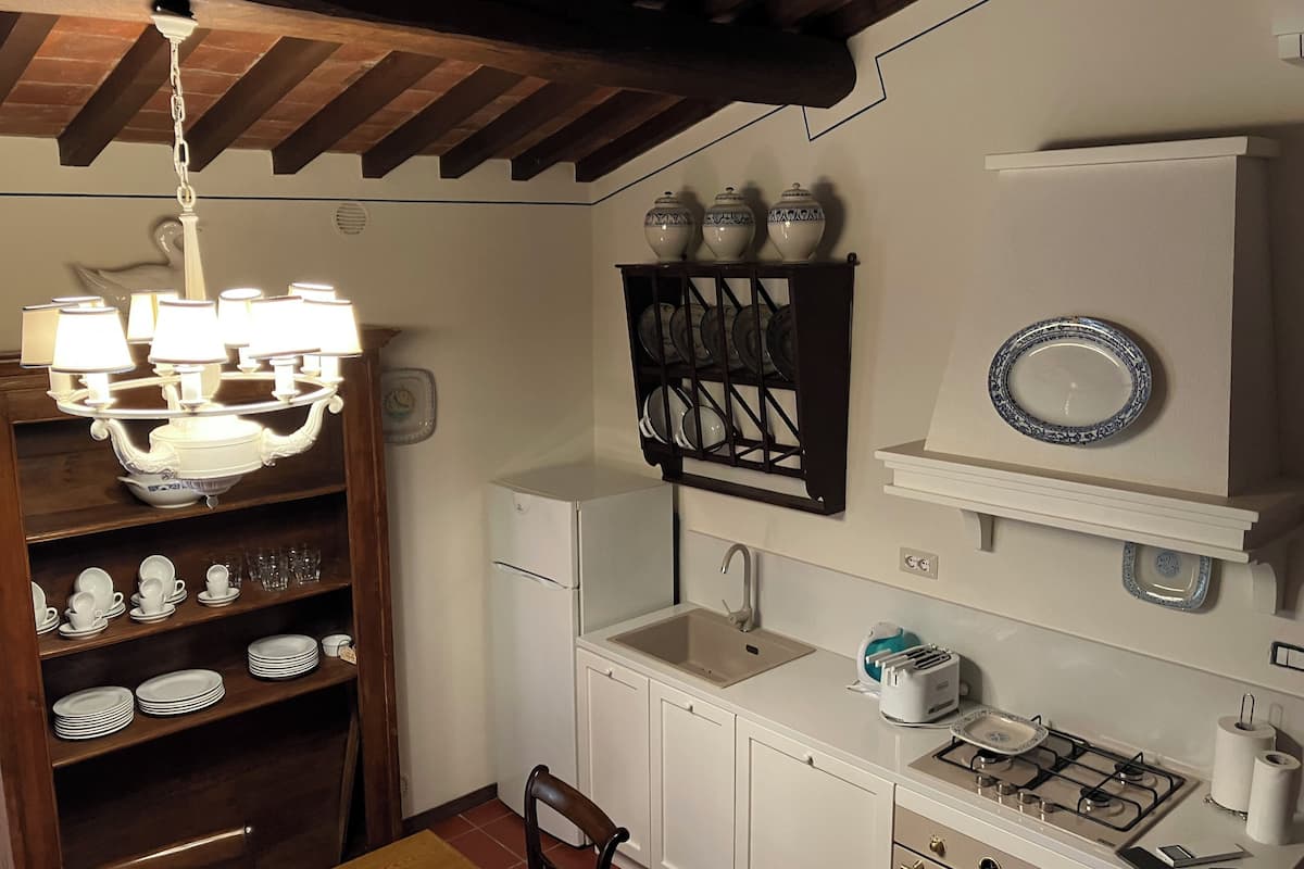 standard apartment, 1 bedroom | private kitchen | electric kettle