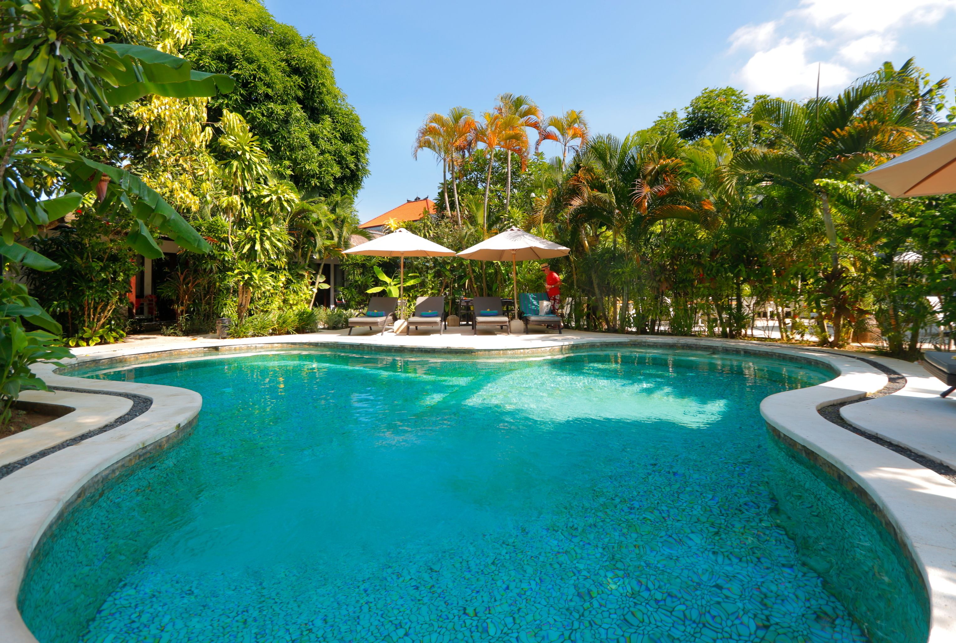 Outdoor pool, pool umbrellas, pool loungers