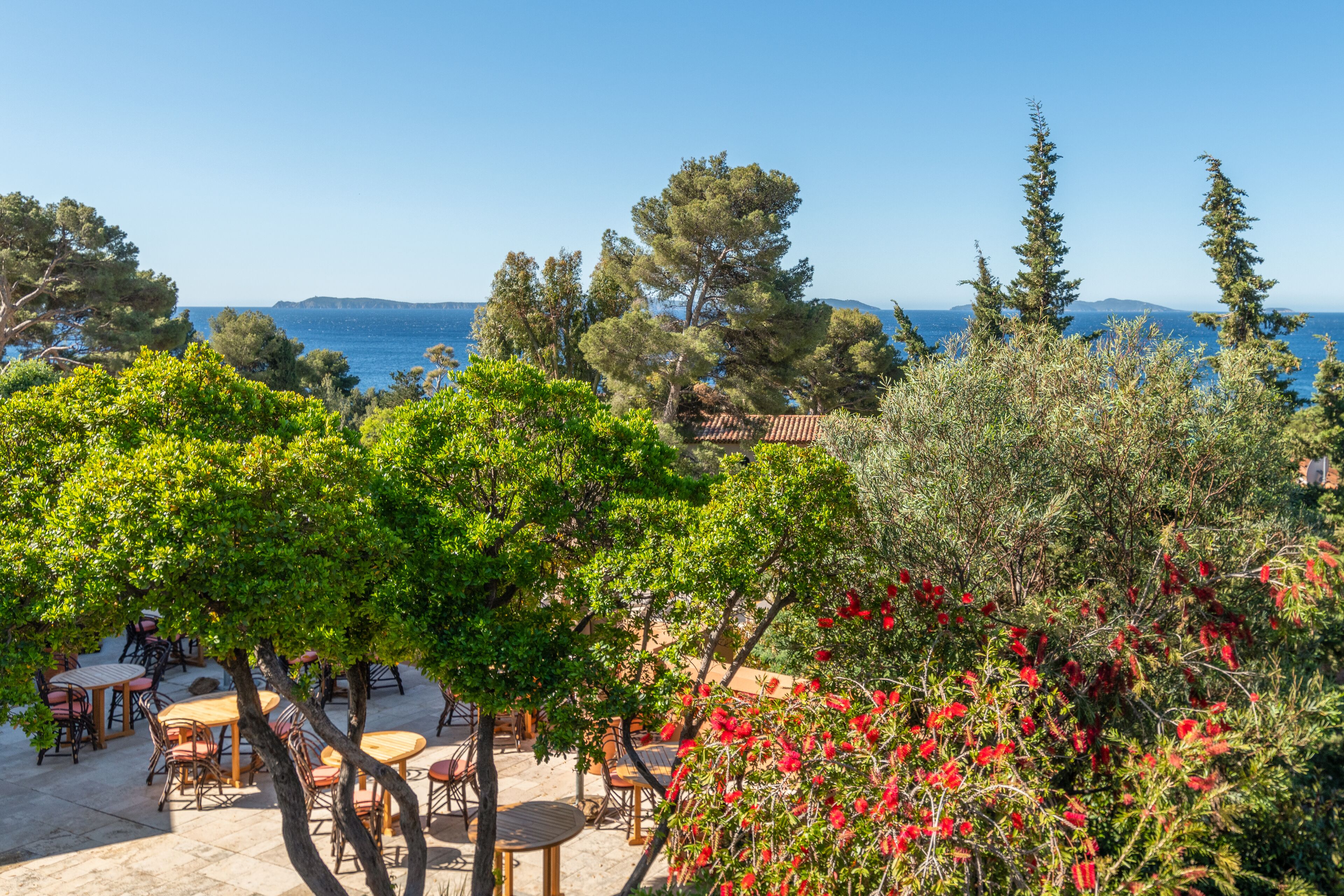Un espace extérieur aménagé avec des tables et des chaises, entouré d’arbres et d’arbustes à fleurs rouges, offrant une vue sur un paysage côtier.