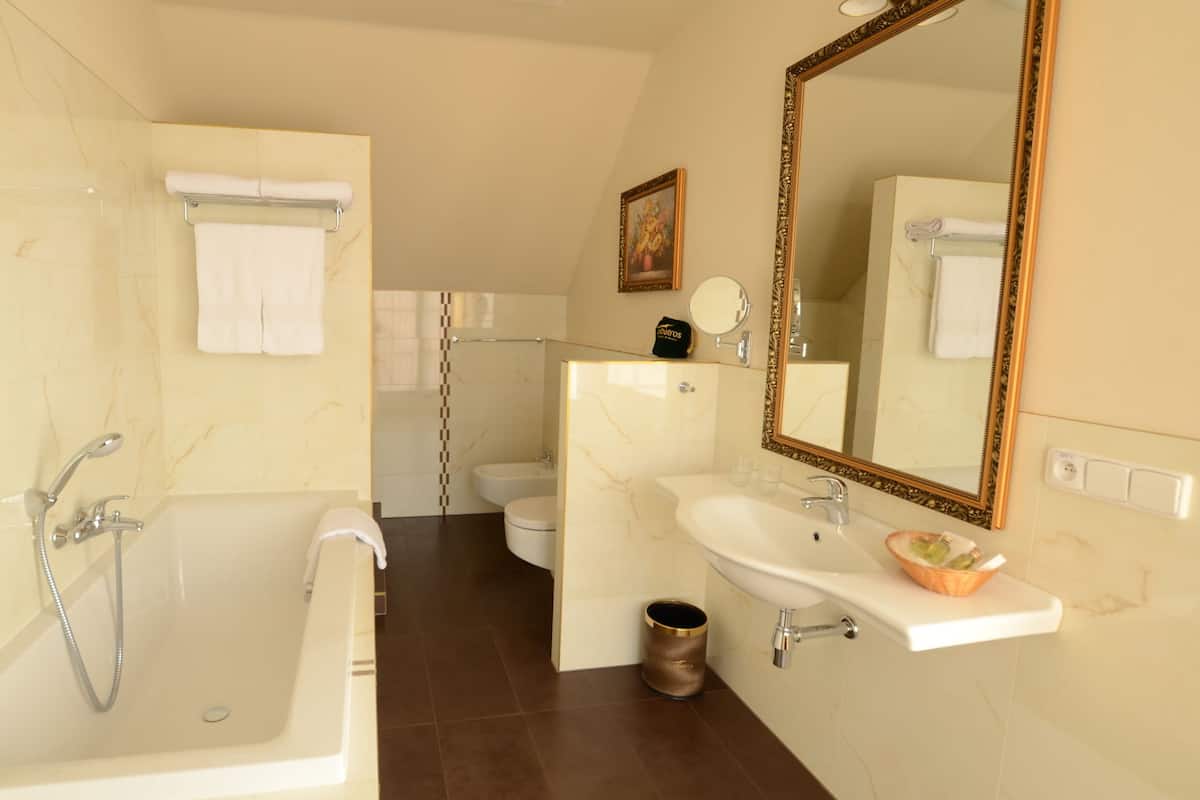 hair dryer, bathrobes, slippers, towels