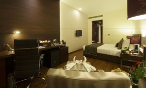 Executive Room | View from room