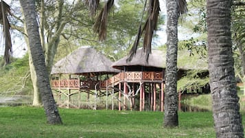 Ngoại thất