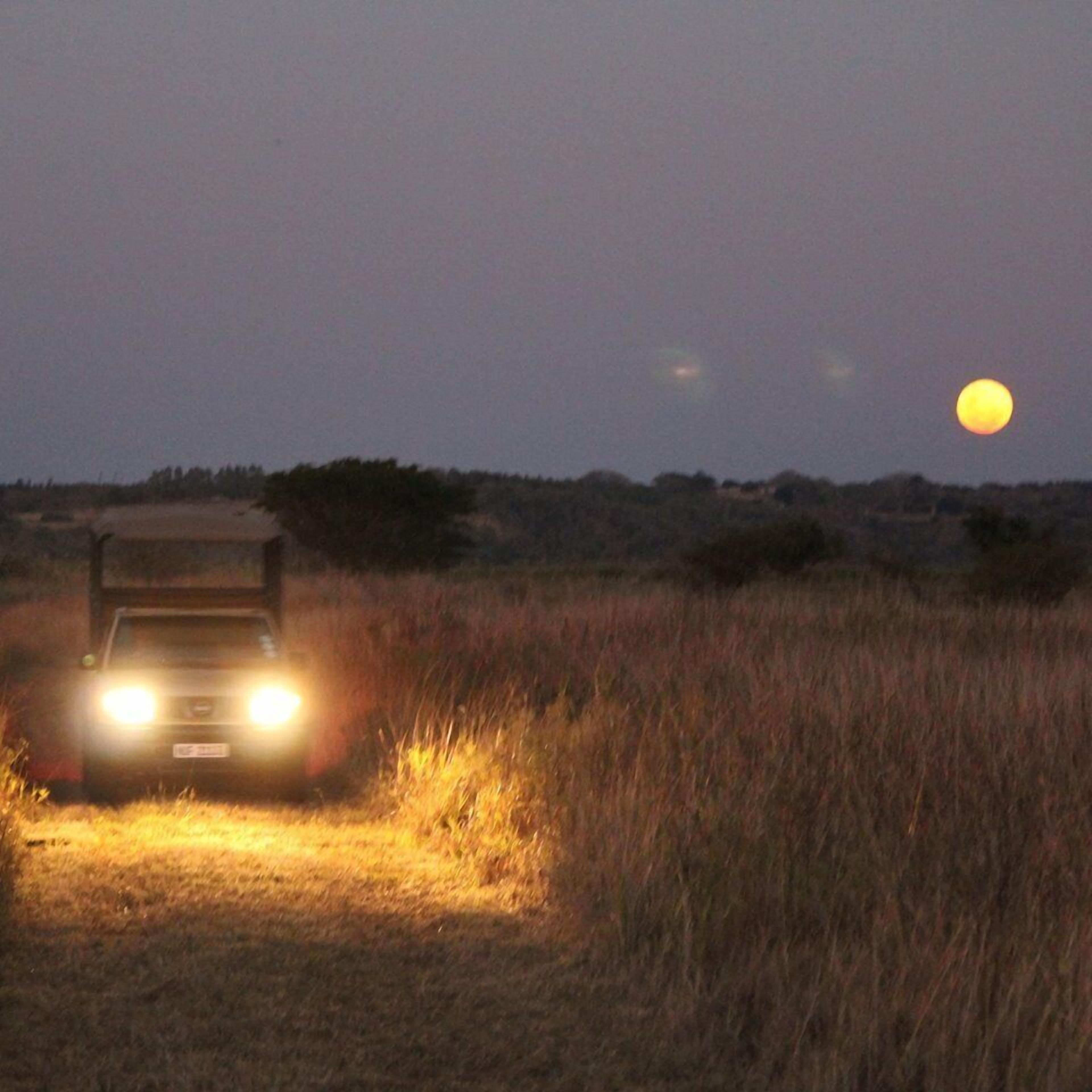 A vehicle driving on a dirt road at dusk with a full moon in the background.