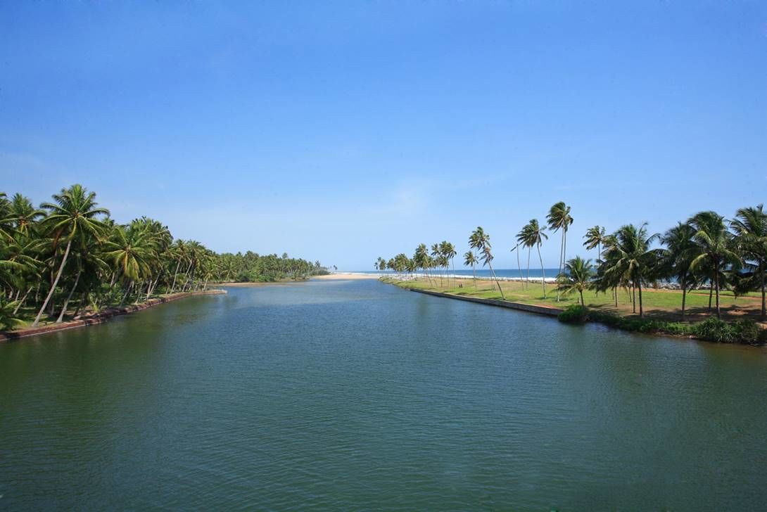 A river with palm trees on both sides, leading to a beach.