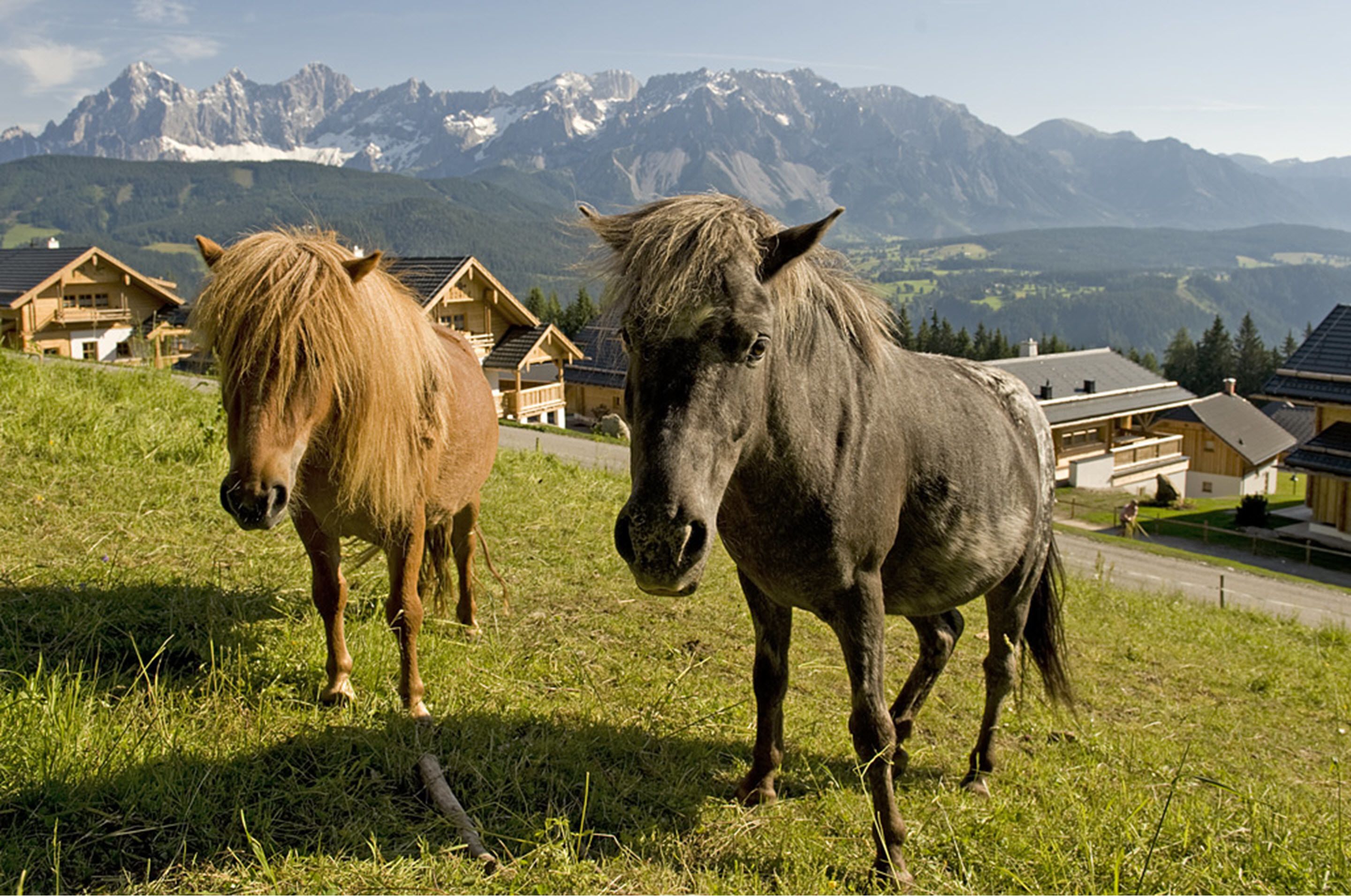 children’s activities