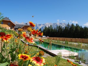 Una piscina al aire libre, una piscina natural
