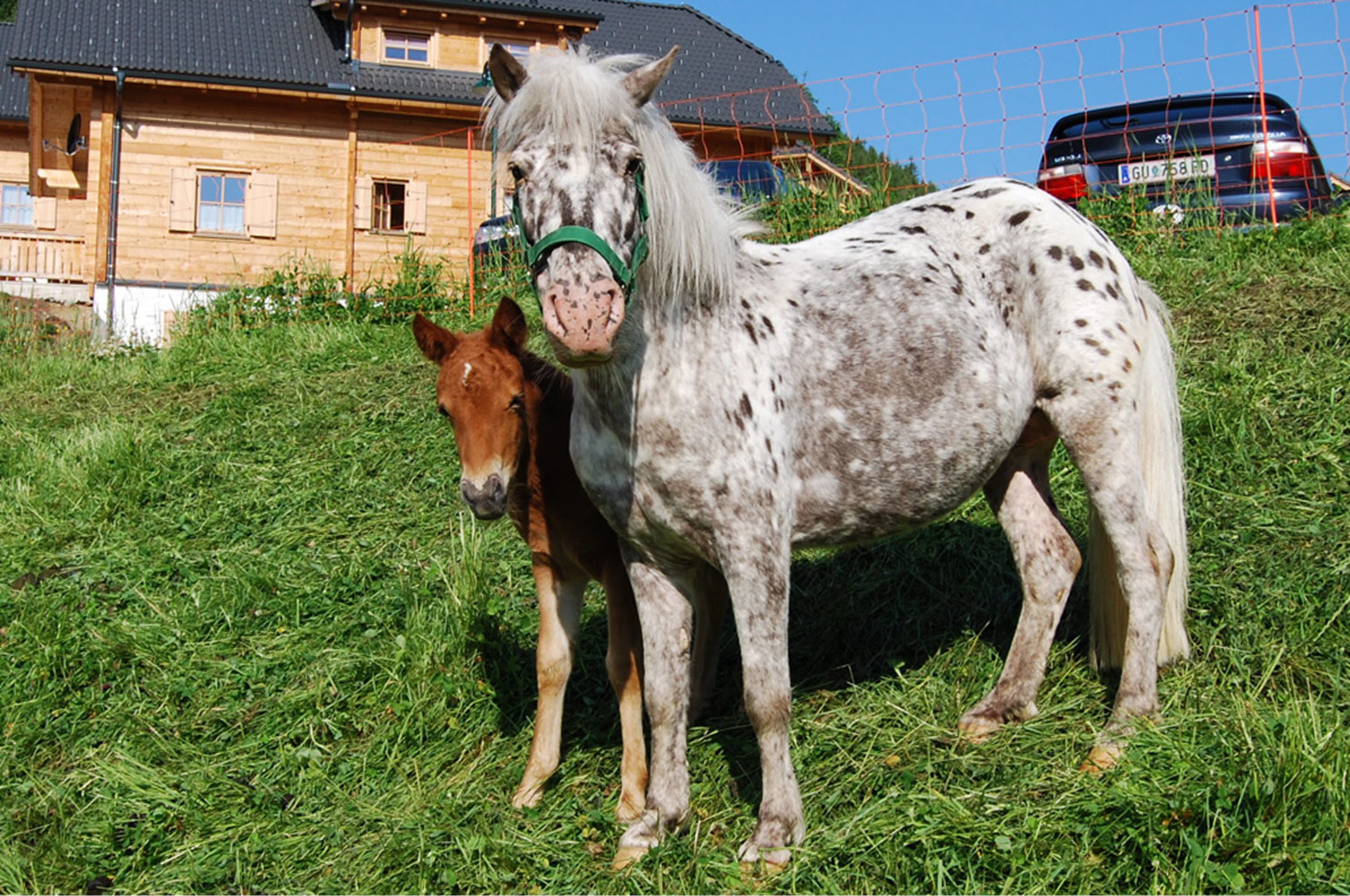 children’s activities