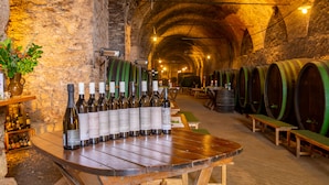 A wine cellar with wooden barrels and bottles of wine on display. - Schloss Seggau (Leibnitz)